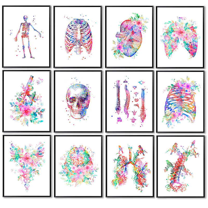 Medical Lab Posters - โปสเตอร์กายวิภาคศาสตร์แบบไม่มีกรอบ ภาพวาดดอกไม้บนผืนผ้าใบ ศิลปะตกแต่งผนัง ภาพศึกษาด้านมนุษยศาสตร์ สำหรับห้องปฏิบัติการ ห้องแพทย์