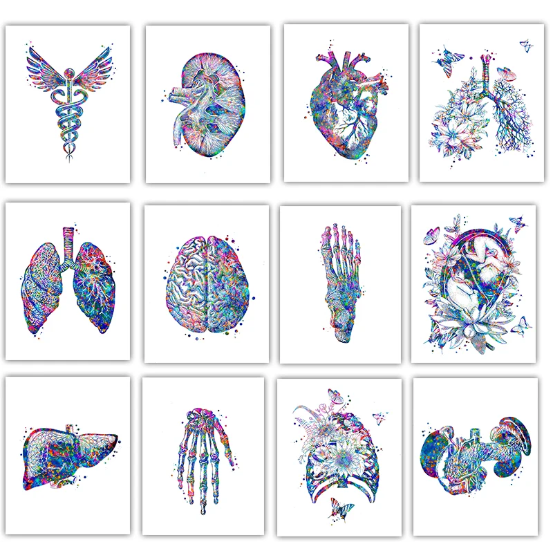 Anatomy Medical Poster Flower  - Medical Lab Posters บทวิจารณ์และราคา