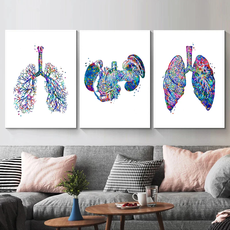 Anatomy Medical Poster Flower  - Medical Lab Posters บทวิจารณ์และราคา