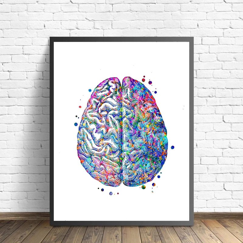 Anatomy Medical Poster Flower  - Medical Lab Posters บทวิจารณ์และราคา