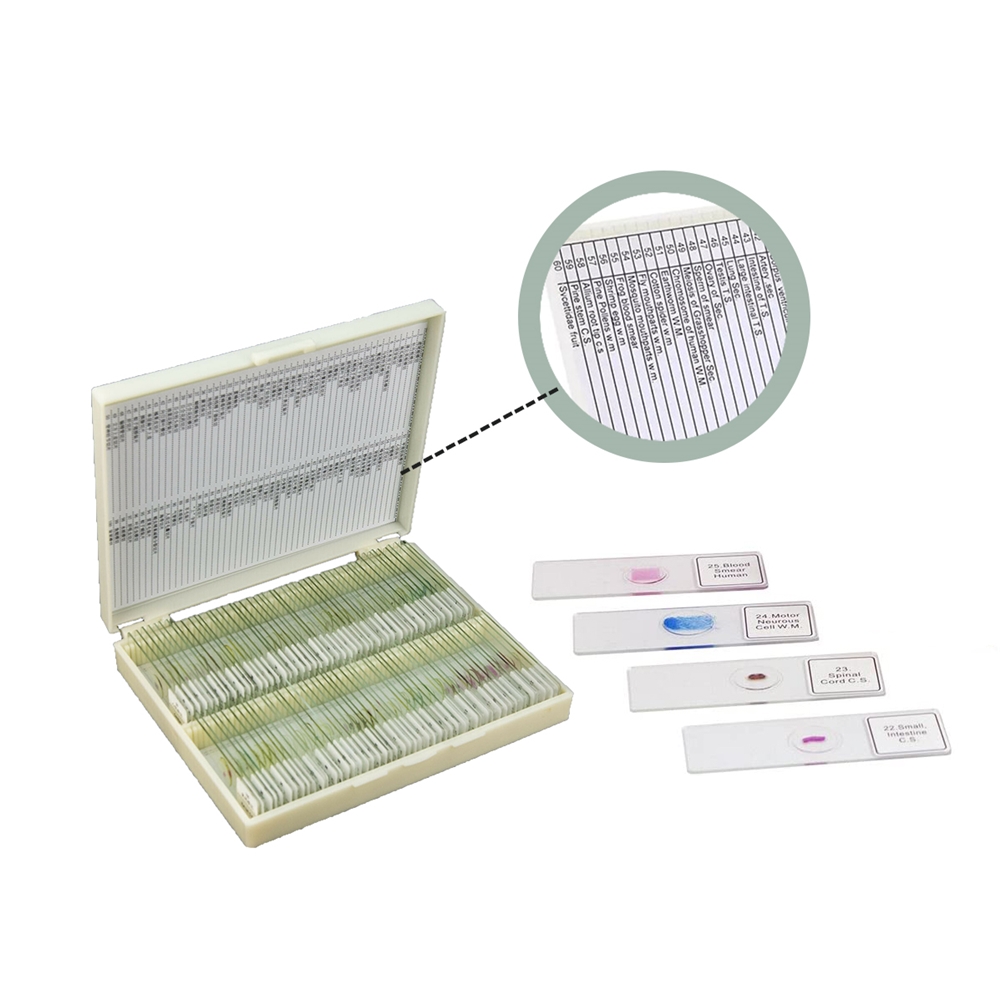 เครื่องมือวิทยาศาสตร์ในห้องปฏิ - Medical Lab Iso บทวิจารณ์และราคา