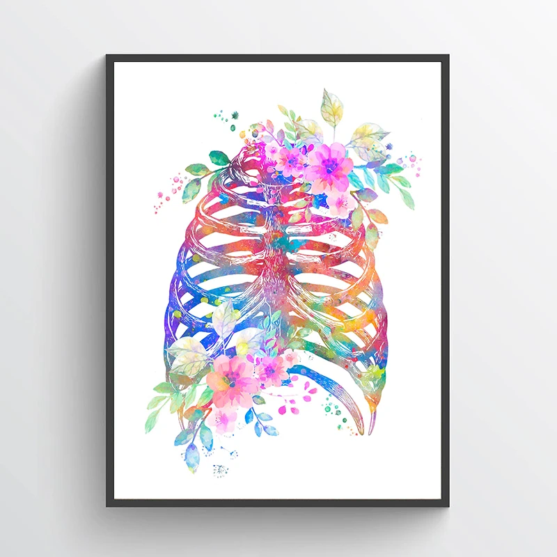 โปสเตอร์กายวิภาคศาสตร์แบบไม่มี - Medical Lab Posters บทวิจารณ์และราคา