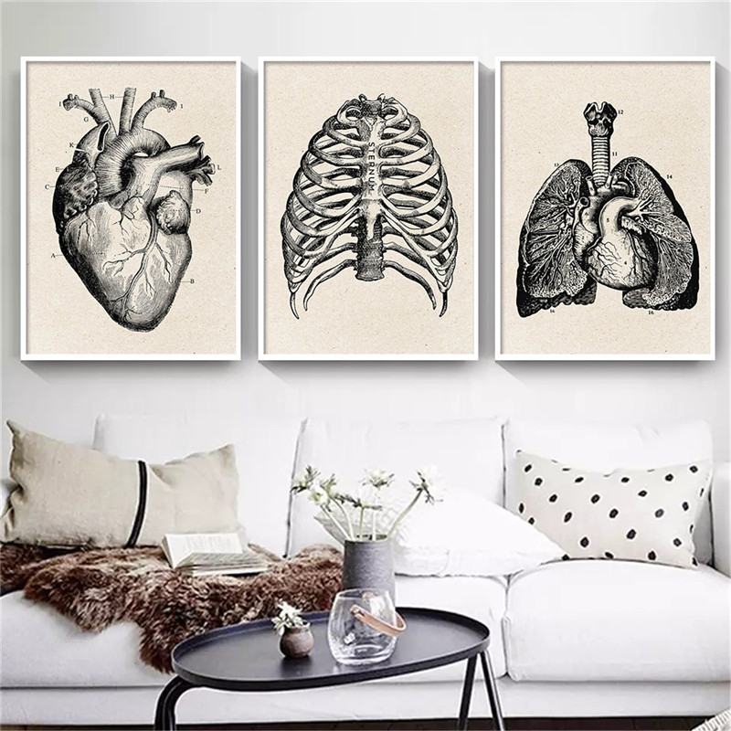 Medical Anatomy งานศิลปะผ้าใบโ - Medical Lab Posters บทวิจารณ์และราคา