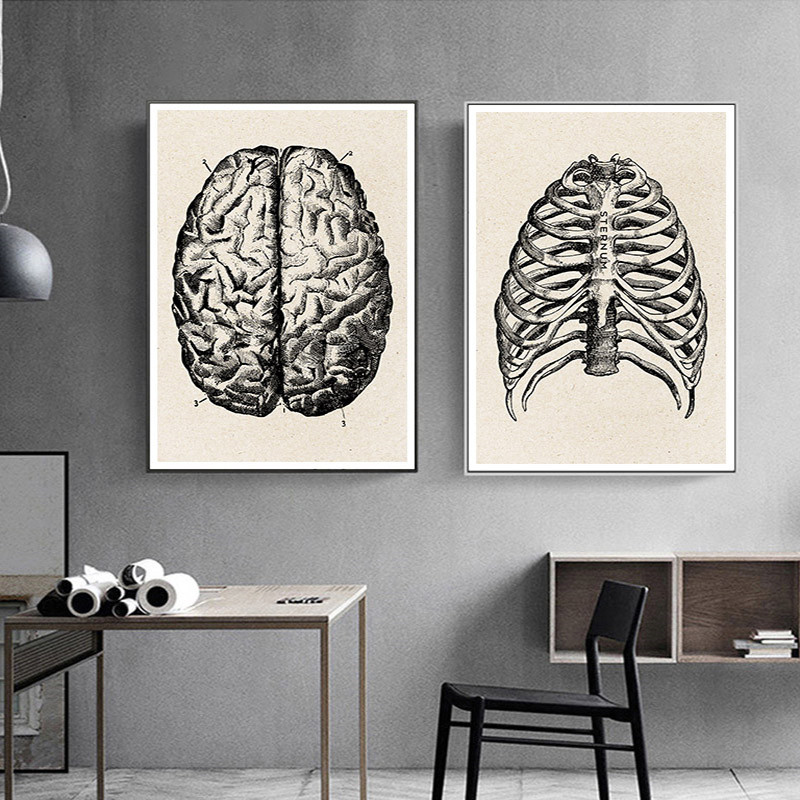 Medical Anatomy งานศิลปะผ้าใบโ - Medical Lab Posters บทวิจารณ์และราคา