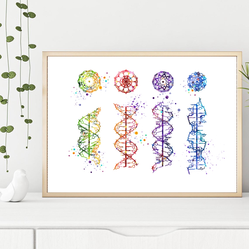 DNA โมเลกุลพิมพ์ Modern Medica - Medical Lab Posters บทวิจารณ์และราคา